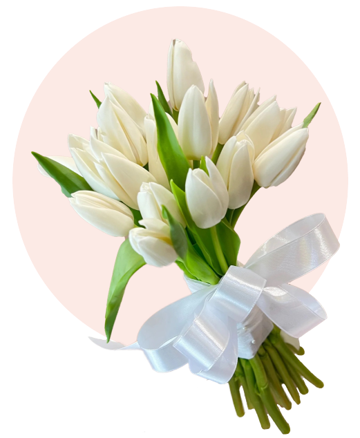 White Tulips